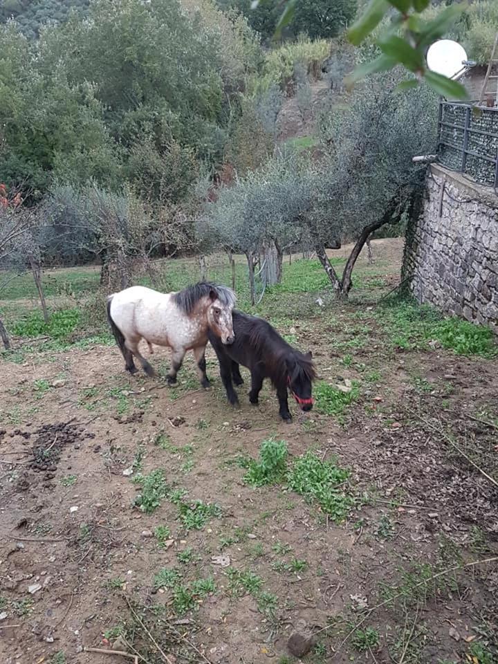 Tenuta Martino Aquara Zewnętrze zdjęcie