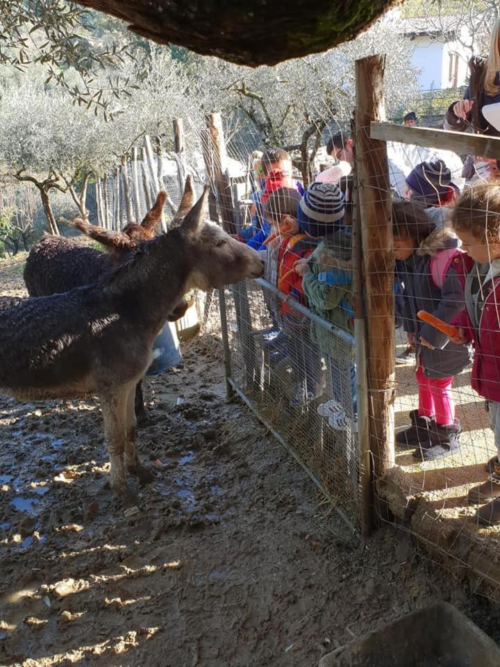Tenuta Martino Aquara Zewnętrze zdjęcie
